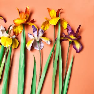 May include: A selection of vibrant paper iris flowers, featuring yellow, orange, purple, and white petals. The flowers have green stems and leaves, set against a peach backdrop. The arrangement creates a striking visual display.