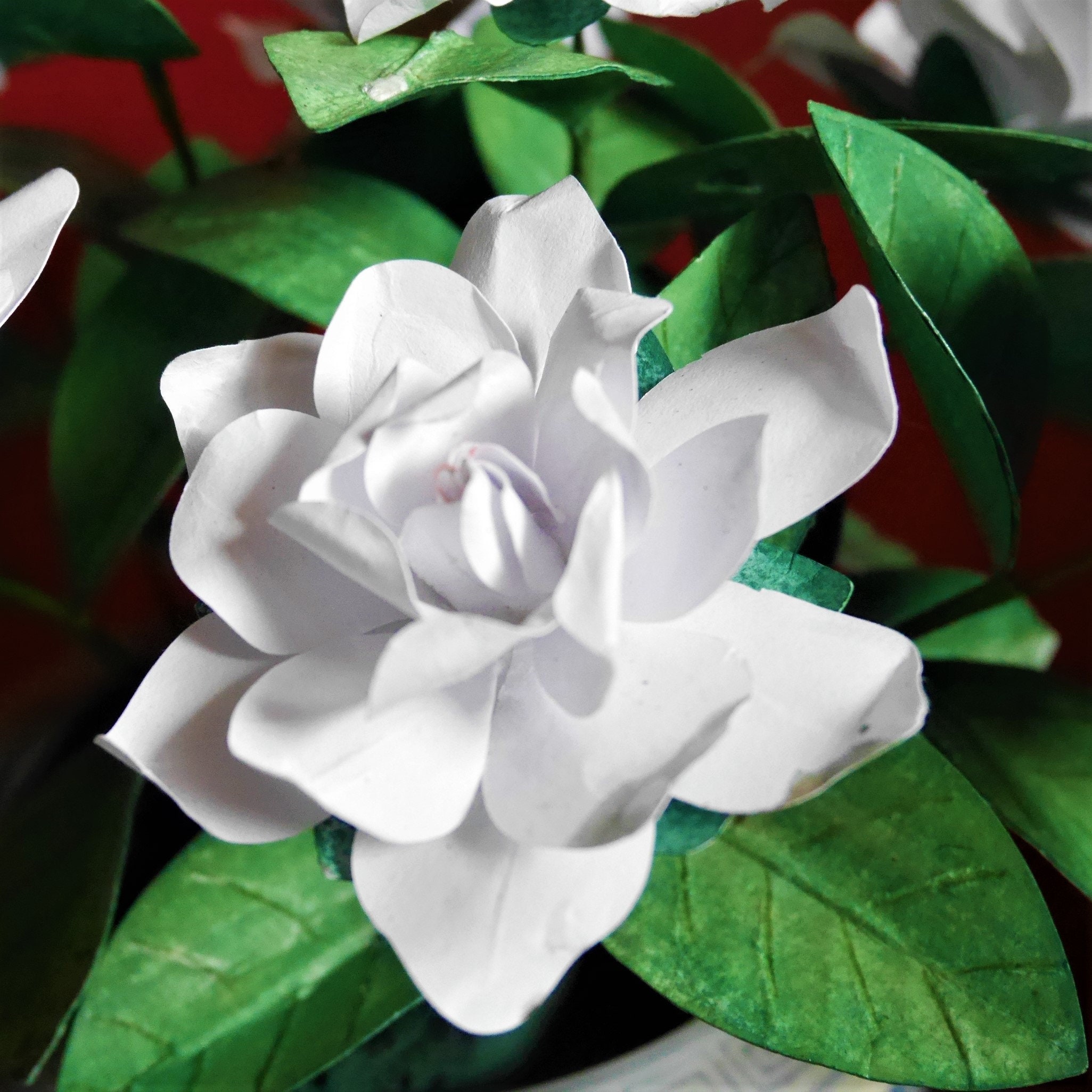 Gardenia - Flor de papel - Plantillas - Videotutorial - Descarga  instantánea - SVG - Silhouette - Escanear y cortar - Cricut - Ramo de boda  - Decoración - Etsy México, image size:2051x2051