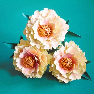 Sacchetto di fiori Peonia - Modelli - Fiori di carta - Download immediato - Tutorial video - SVG - Silhouette - Cricut - Brother - Lavori di carta