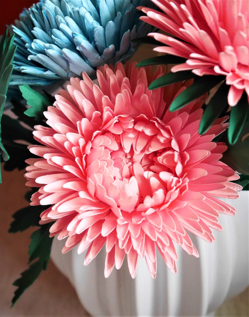 Thesis on china aster 04 image