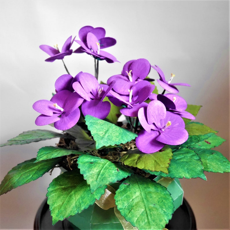 African Violets Paper Flower Templates Instant Download - Etsy