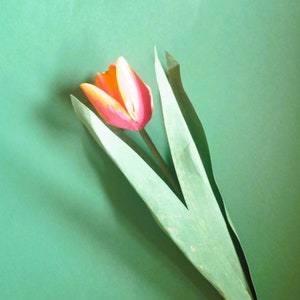 Tulipano doppio - Fiori di carta - Download immediato - Video tutorial - Cricut - Silhouette - Fratello - Primavera - Pasqua - Bouquet - Matrimonio