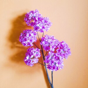 Op de afbeelding: Een tros roze bloemen met witte accenten op een tak tegen een licht oranje achtergrond.