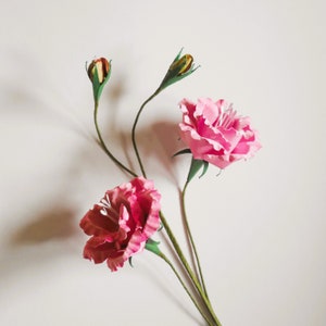 Lisianthus - Fiore di carta - Modelli - Video tutorial - Download immediato - SVG - Silhouette - Scan&Cut - PDF - Fai da te - Modelli 3D
