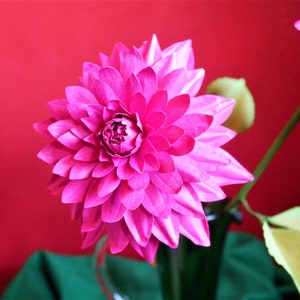 Dahlia - Paper Flower - Modelli - Video Tutorial - Consegna digitale - SVG - PDF - Cricut - Cammeo - Fratello - Fiore 3D - Paer Bouquet