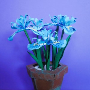 Iris Reticulata - Modelli di fiori - Download immediato - Tutorial video - Silhouette - SVG - Scansione e taglio - Lavori di carta - Cricut - Fai da te