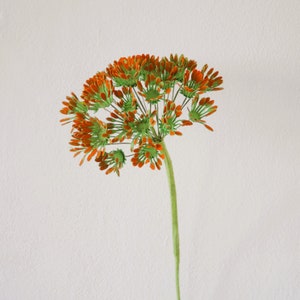 以下が含まれることがあります： 緑色の茎とオレンジと緑の花の房が付いた、単一の造花。 花びらは鮮やかなオレンジ色で、先端は緑色です。 茎はソフトグリーンで、背景はプレーンホワイトです。