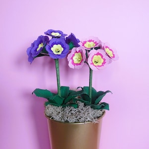 Primula Auricula - Fiori di carta - Download immediato - Tutorial video - Modelli - SVG - Silhouette - Cricut - Scan&Cut - Idee regalo