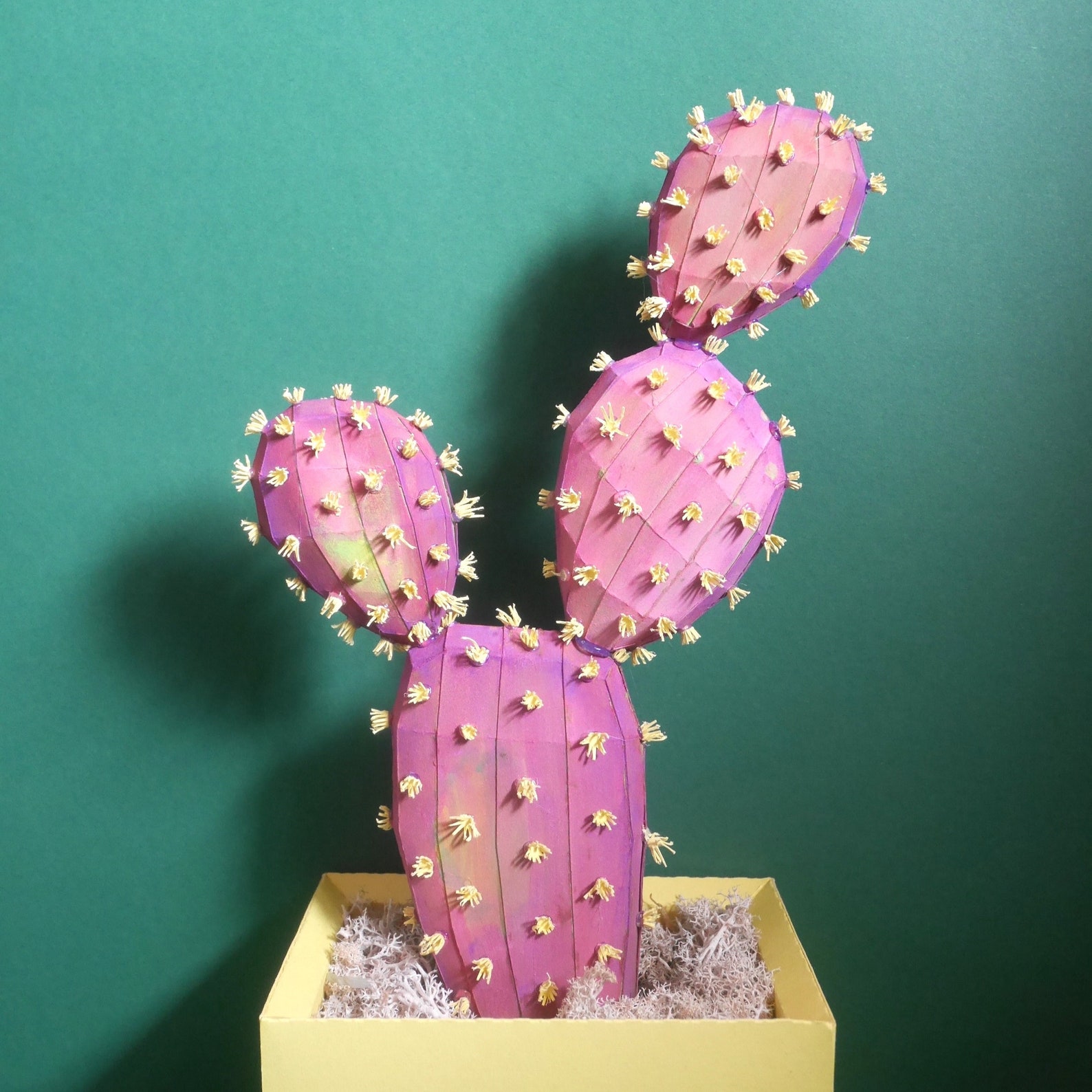Prickly Pear Cactus Templates Instant Download Video - Etsy