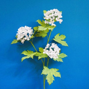 Oak Tree Hydrangea Branch - Paper Flower - Templates - Instant Download - Video Tutorial - Cricut - Silhouette - Scan&Cut - SVG - DIY
