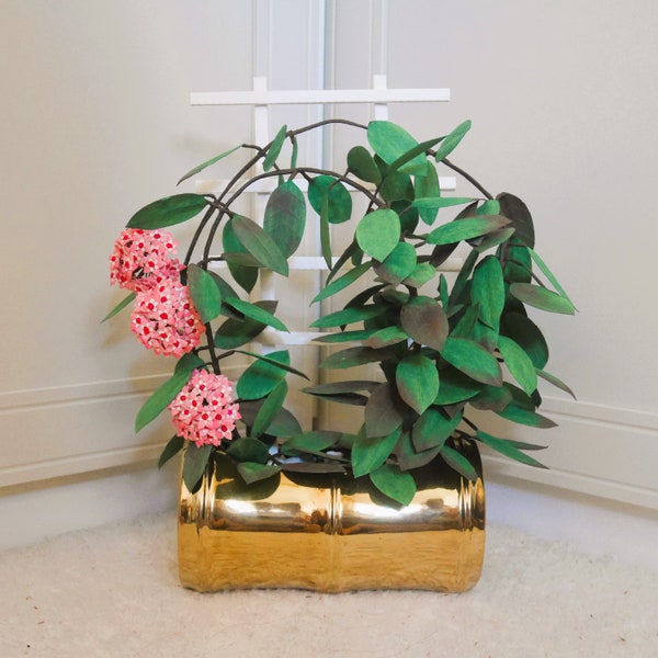 Hoya Papierblume Vorlage mit Rack (Instant Download)