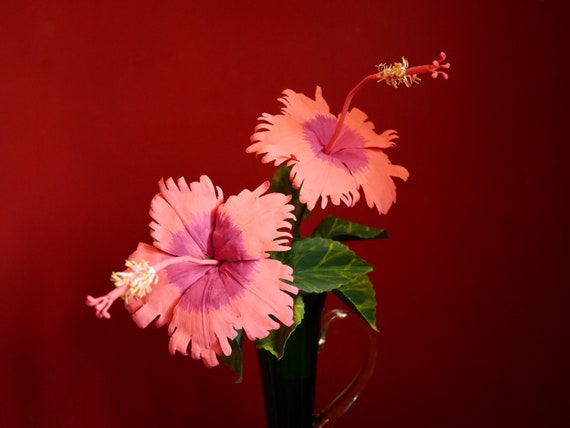 Hawaiian Hibiscus - Paper Flower - Templates - Video Tutorial - SVG - PDF - PNG - Please read Item Details for more info -  Patterns