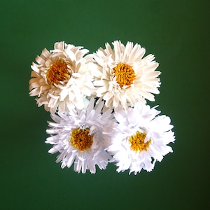 Crazy Daisy - Fiore di carta - Modelli - Download immediato - Video tutorial - SVG - Silhouette - Fratello - Feste - Eventi - Compleanno