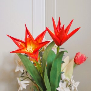 Go Go Red Tulips - Paper Flower - Templates - Instant Downloads - Video Tutorial - SVG - Cricut - Silhouette - Scan&Cut - Paper Crafts