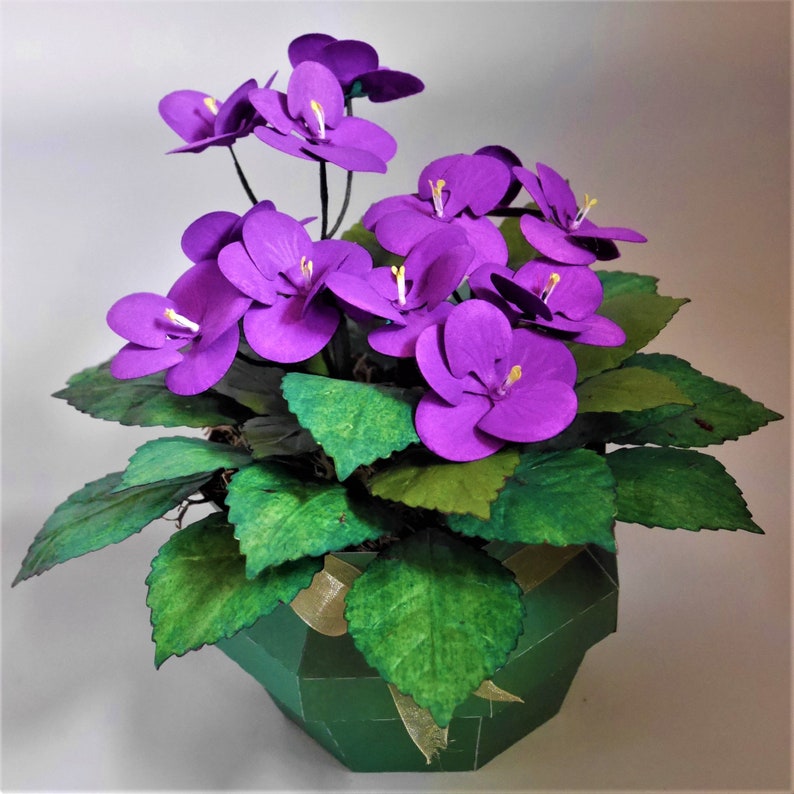 African Violets Paper Flower Templates Instant Download - Etsy