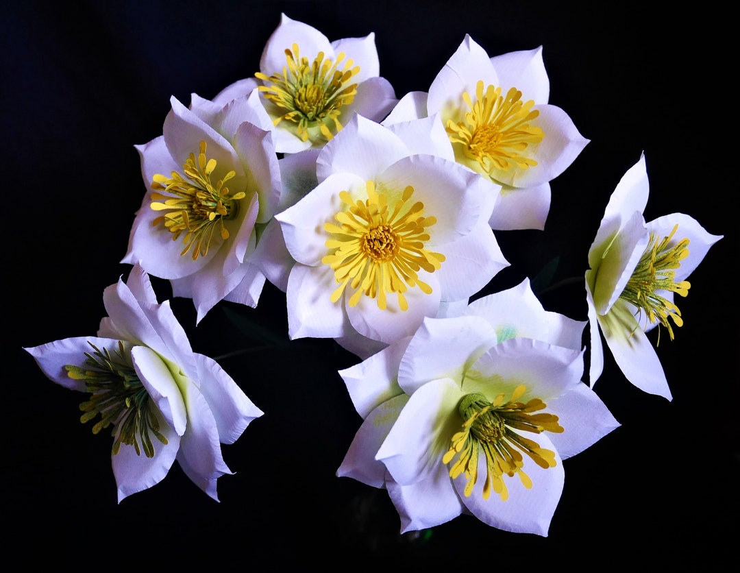 Adelia - Fantasy Flower - Templates - Digital Delivery - Video Tutorial ...