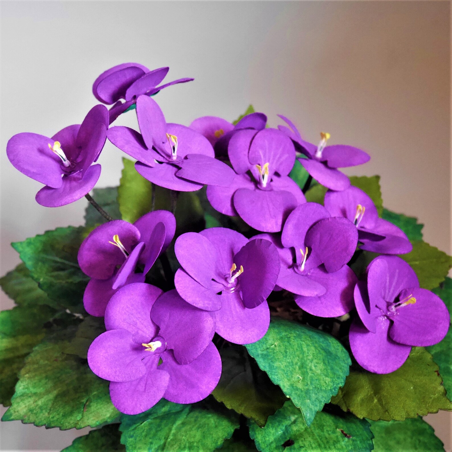 African Violets Paper Flower Templates Instant Download - Etsy