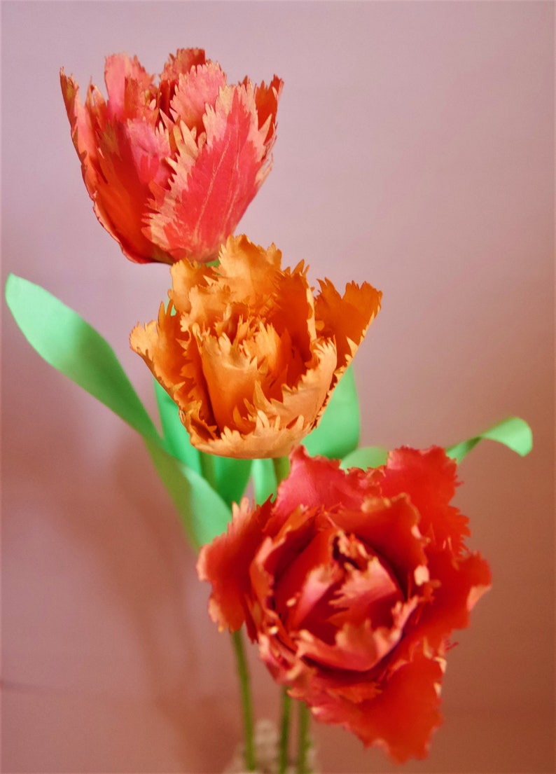 Tulipe à double franges Fleur de papier Modèles Livraison numérique Tutoriel vidéo SVG Silhouette Scan&Cut Paper Crafts Fleur 3D image 5