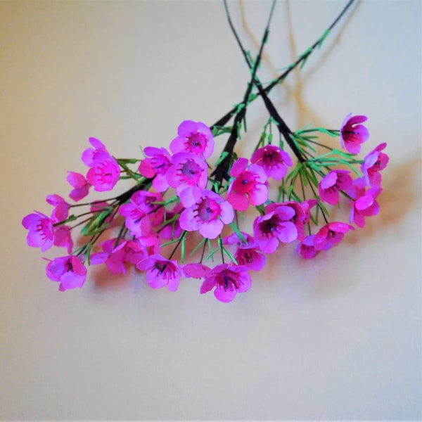 Wachsblume - Papierblume - Vorlagen - Instant Download - Video Tutorial - SVG - Silhouette - Scan&Cut - DIY - 3D Blume - Bouquet
