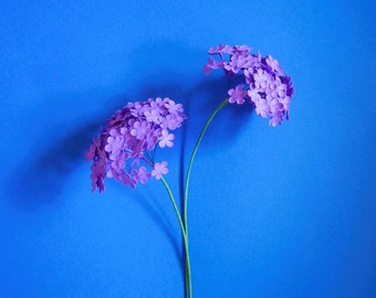 May include: Two purple flower clusters on a single stem against a bright blue background.