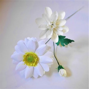 Chrysanthemum Enbee Wedding - Paper Flowers - Flower Templates - Video Tutorial - Instant Download - DIY - SVG - Silhouette - Scan&Cut