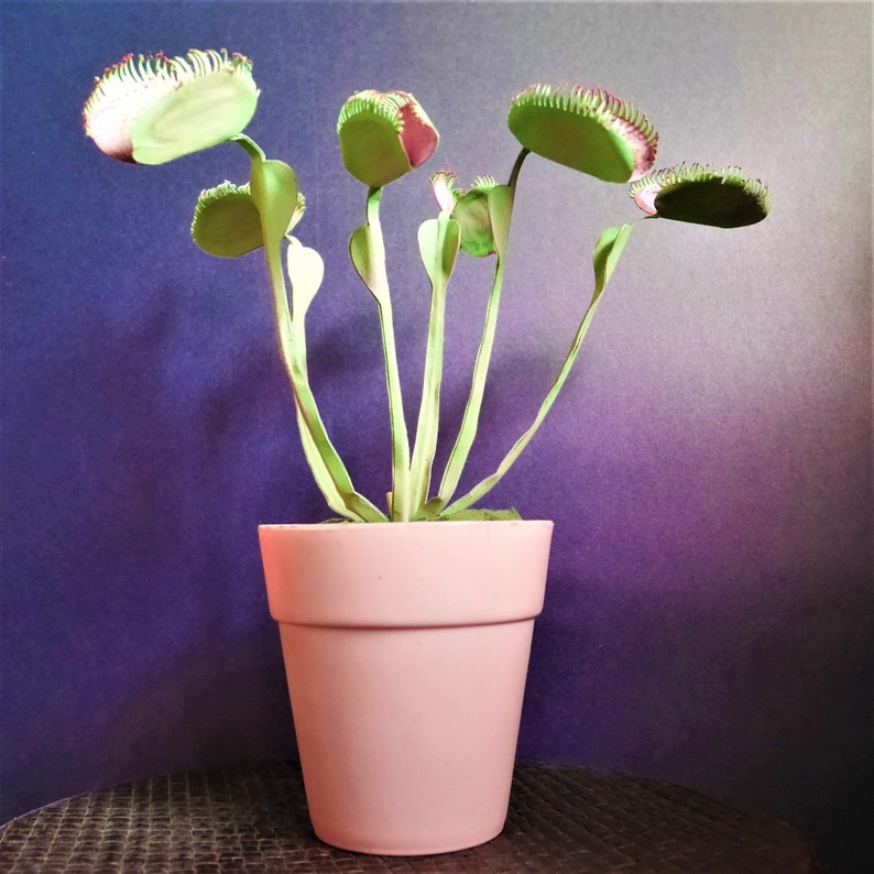 Venus Flytrap Dionaea muscipula Templates Video Tutorial SVG S&C Silhouette Cricut DIY 3D Crafts 3D Flowers image 1