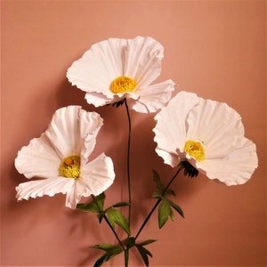 Matilija Poppy - Fiori di carta - Modelli - Download istantaneo - Video Tutorial - SVG - Scan&Cut - Silhouette - Fiori 3D - Paper Craft