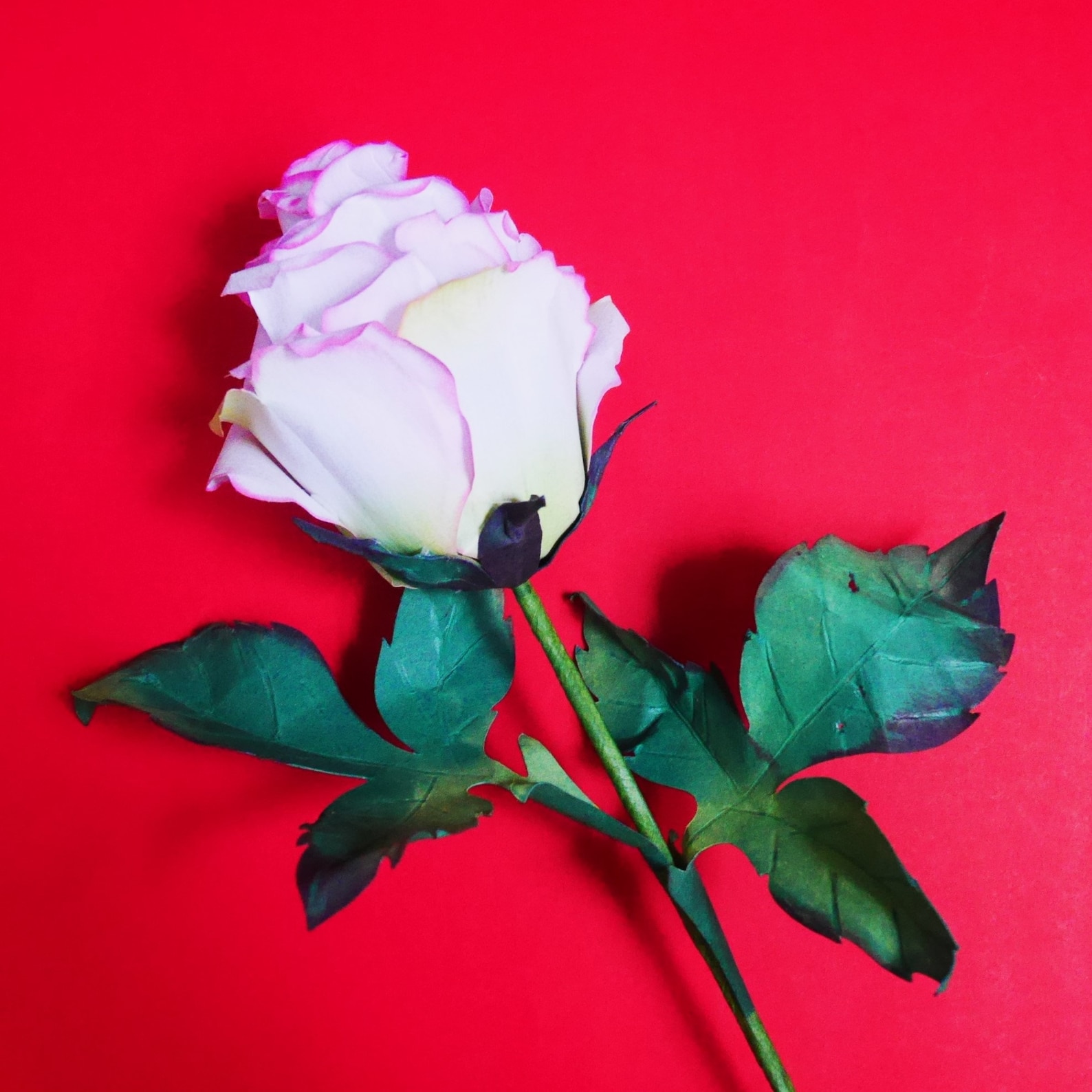 Ecuadorian Rose - Template - Paper Flower - Instant Download - Video ...