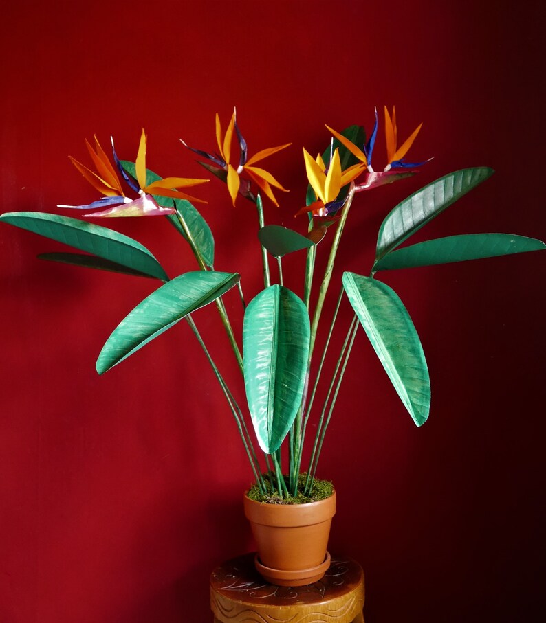Bird of Paradise Paper Flower Templates Digital delivery