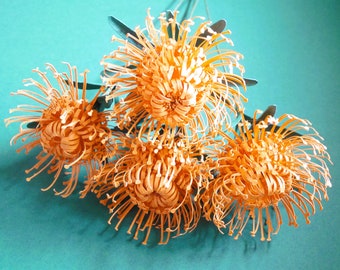 Plantilla de flor de papel de protea con alfiletero: SVG DIY, Cricut (descarga instantánea)