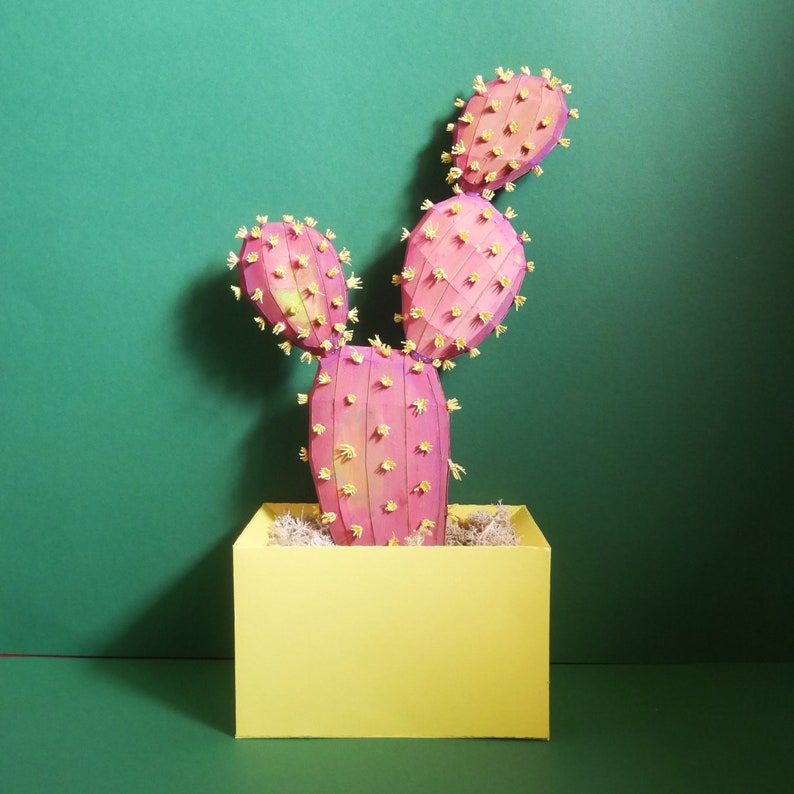 Prickly Pear Cactus Templates Instant Download Video - Etsy