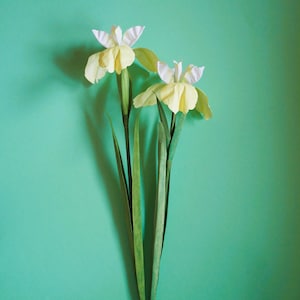 Novità: Iris siberiano - Fiore di carta - Modelli - Download immediato - Tutorial video - SVG - Cricut - Silhouette - S&C - Lavori di carta