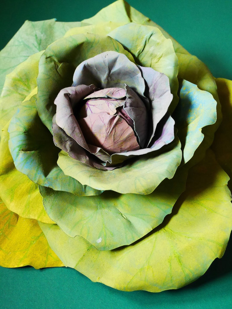 Ornamental Cabbage - Templates - DIY - Instant Download - Video ...
