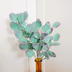 Eucalyptus Polyanthemos - Modelli - Download immediato - Video tutorial - Cricut - SVG - Silhouette - Fogliame - Bouquet di carta