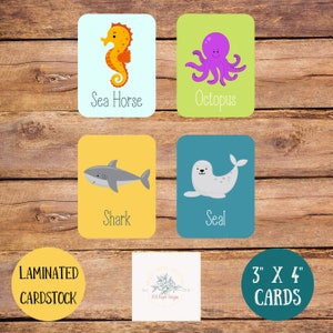 Schede didattiche Ocean Animal Flash Set per l'educazione precoce e l'apprendimento dell'autismo - Completamente assemblate e pronte all'uso! Set di 16