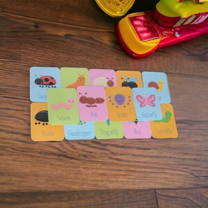 Set di flashcard per insetti e insetti da 14, curriculum prescolare completamente assemblato, giocattoli per l'autismo per la terapia occupazionale, strumenti PECS