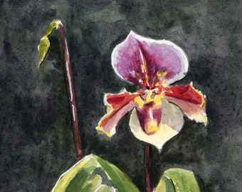 5x7" - Ny Botanical Gardens Orchid - Original Watercolor Painting