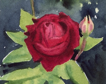 5x7" - Rose at the Brooklyn Botanic Garden - Original Watercolor Painting