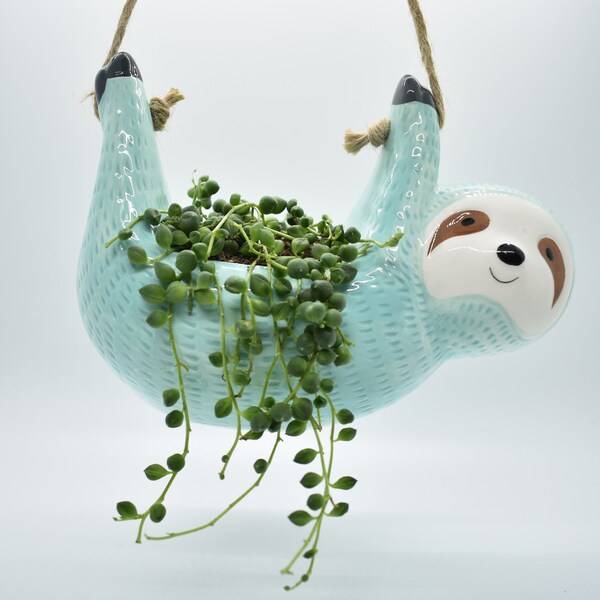 Hanging Sloth Planter | Succulent Arrangement | Live String of Pearls