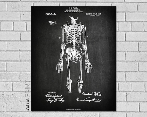 Anatomy print, anatomy poster, human skeleton print, human skeleton poster, bones, medical print, anatomical drawing, human anatomy- CM547