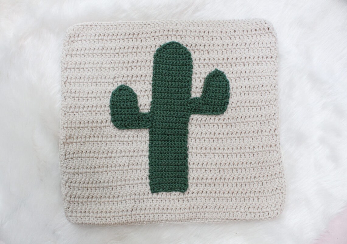18x18 Cactus Baby Blanket Nursery Decor Home Decor Crochet Crochet Blanket Etsy