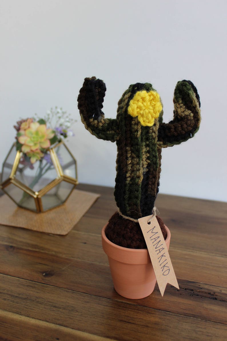Camo Muskel häkeln Kaktus häkeln Pflanze Wohnkultur Büro | Etsy