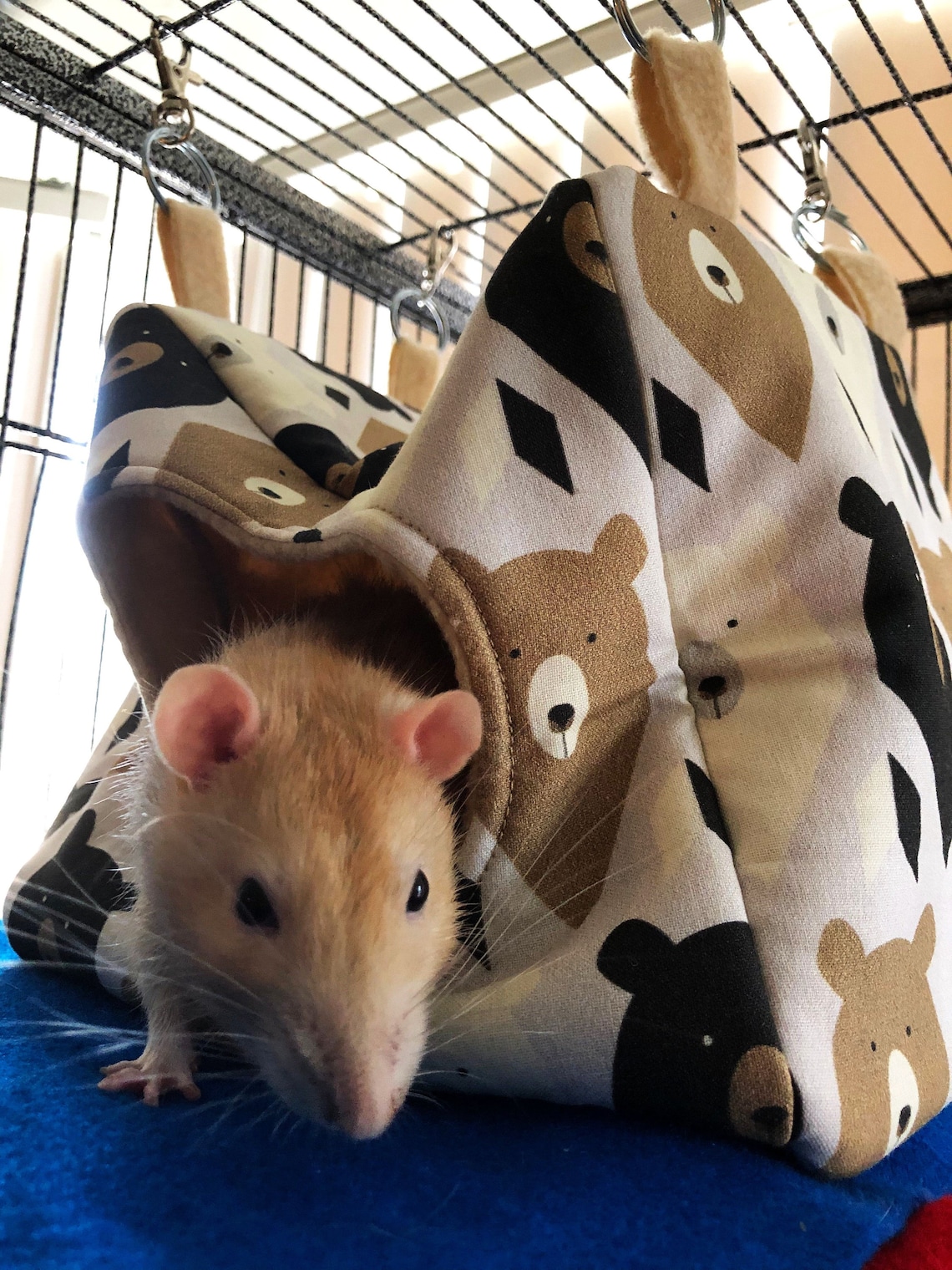 RAT HAMMOCK SET Hanging Rat Hammocks Double Rat Hammock Etsy