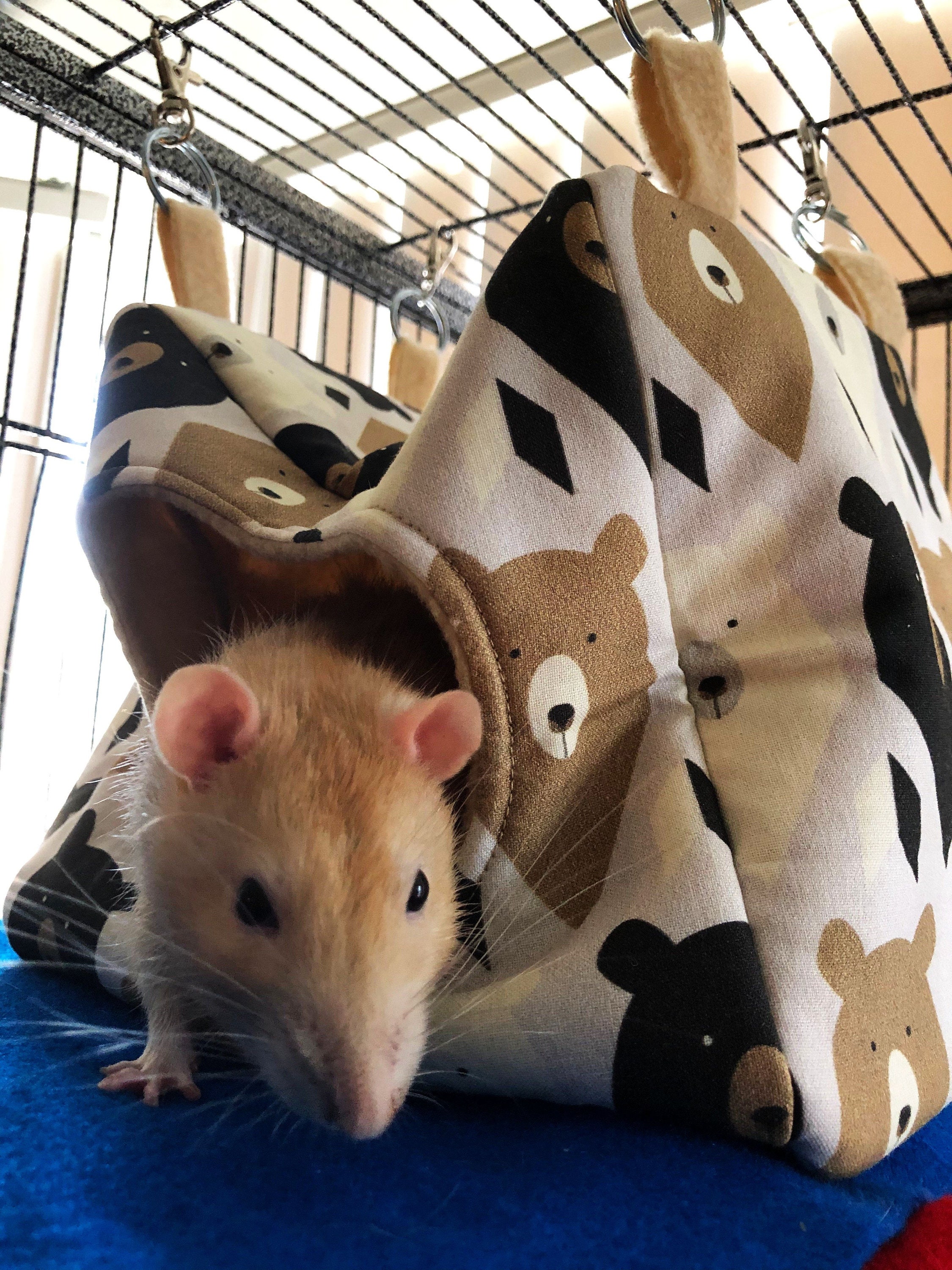 RAT HAMMOCK SET Hanging Rat Hammocks Double Rat Hammock Etsy