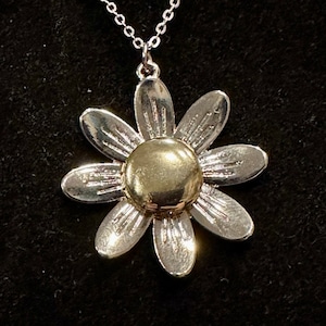 Daisy, Locket, Silver, Gold, Pendant, Necklace