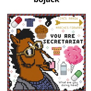 May include: Cross-stitch art featuring a horse character with glasses and a cigarette, with the text "YOU ARE SECRETARIAT." Other elements include a muffin, cotton candy, and pills. The word "bojack" is at the top.