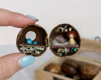 Tiny house with fairy inside walnut shell. Nut diorama