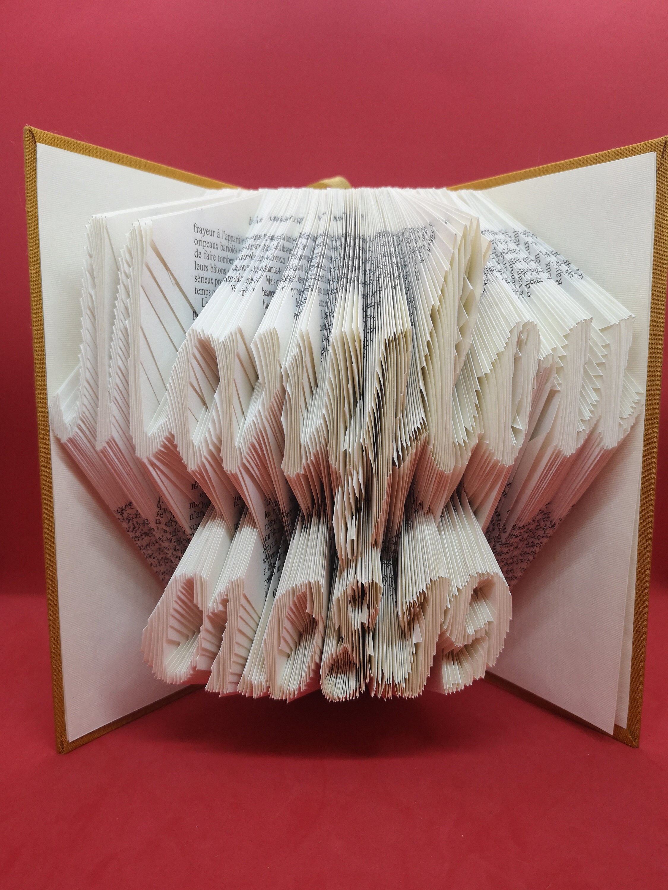 Prénom+Date - Livre Plié Typographie Script