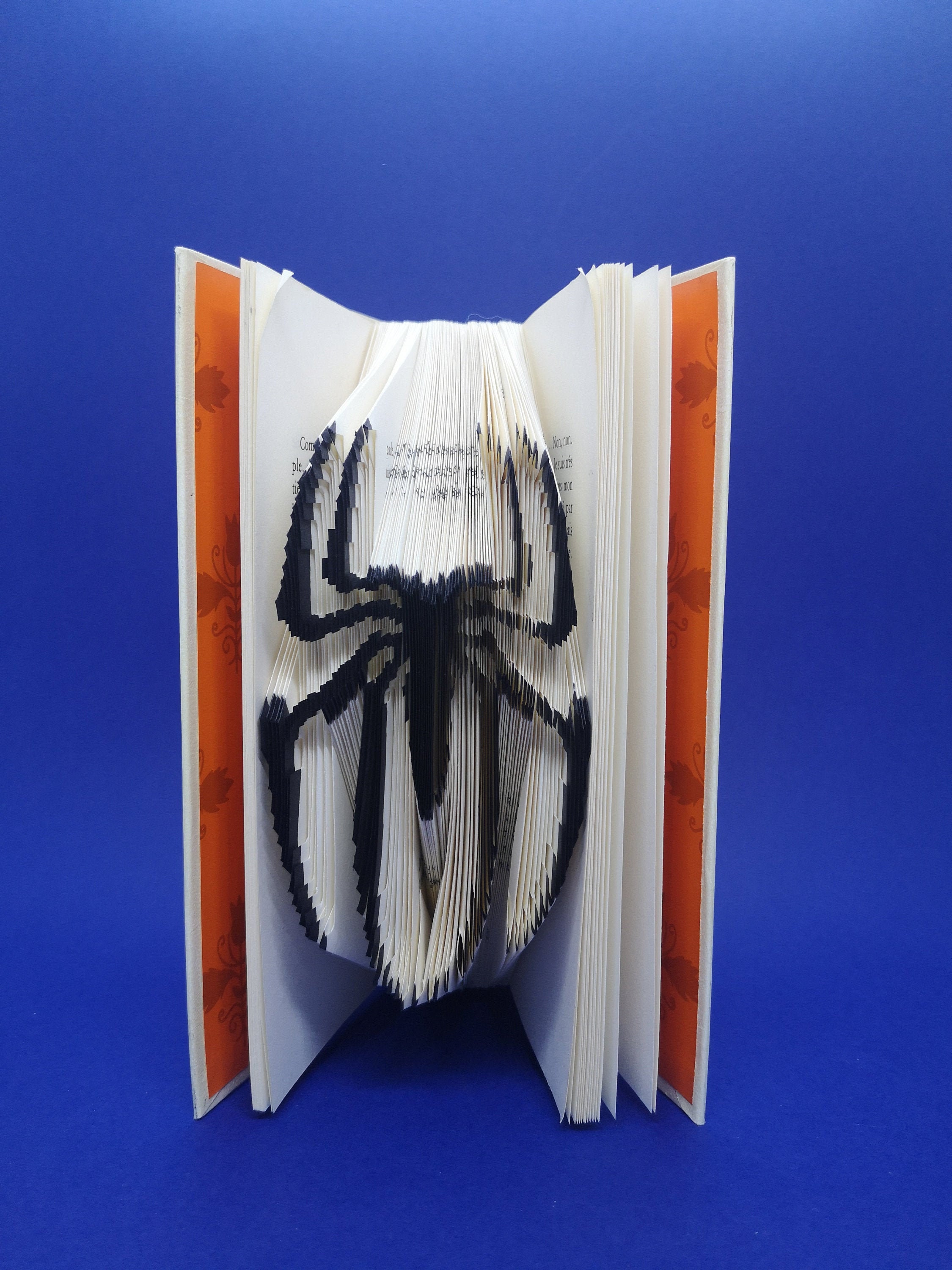 Spiderman - Livre Plié Couleur