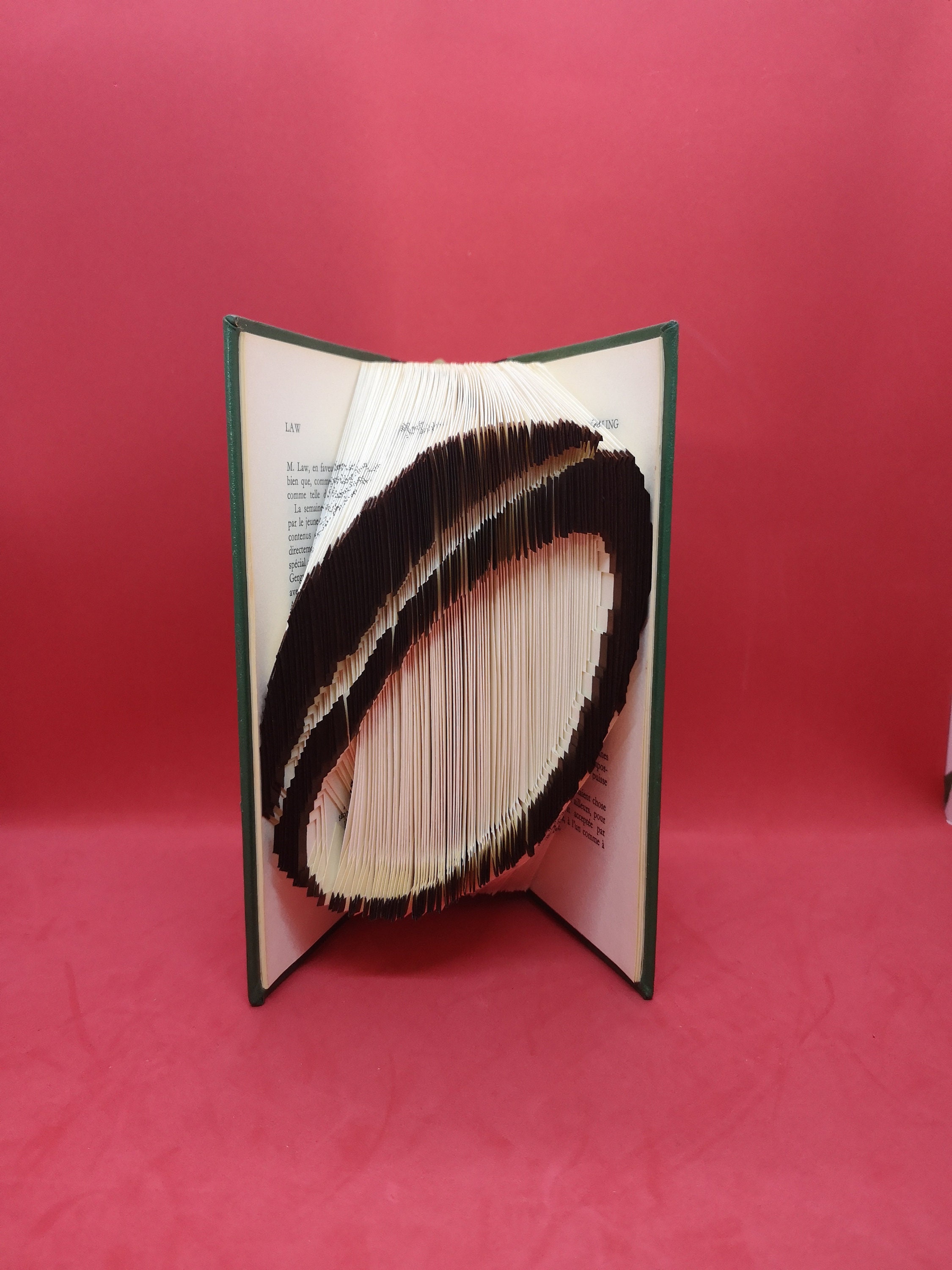 Ballon Rugby - Livre Plié Couleur Rugby